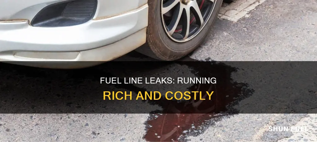will a leaky fuel line cause vehicle to run rich