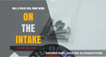Can a Pulse Fuel Pump Function Efficiently on the Intake System?