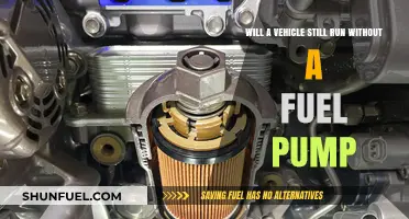 Can Your Car Operate Without a Fuel Pump? Find Out Here