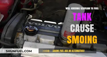 Seafoam in Fuel Tank: Does It Cause Smoking?