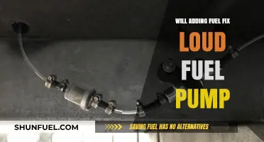 Can Adding Fuel Silence a Noisy Fuel Pump? Expert Insights