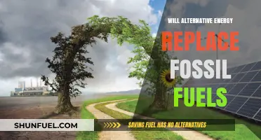 Can Alternative Energy Sources Fully Replace Fossil Fuels in the Future?