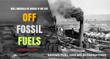 Cutting Fossil Fuels: A Path to Progress or American Decline?