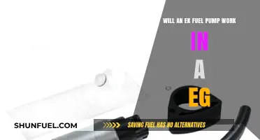 Can an EK Fuel Pump Fit and Function in an EG?