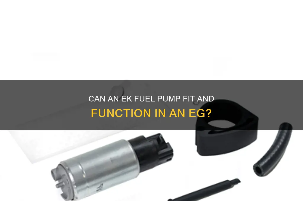 will an ek fuel pump work in a eg