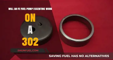 Can an FE Fuel Pump Eccentric Fit a 302 Engine?