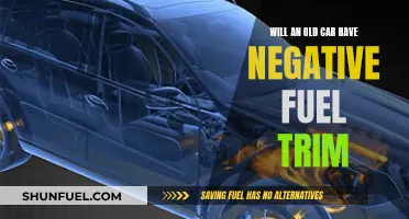 Understanding Fuel Trim Issues in Older Cars