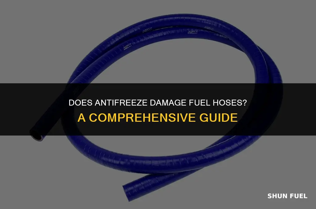 will antifreeze dissolve fuel hose