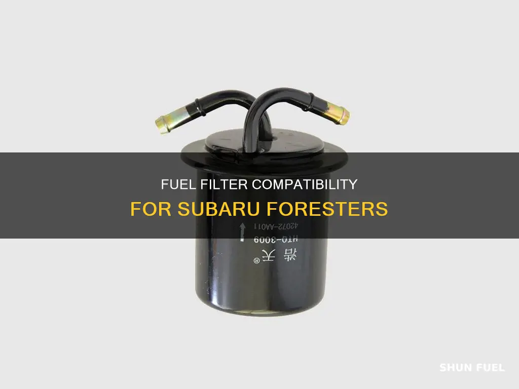 will any fuel filter work on ny suburu forester