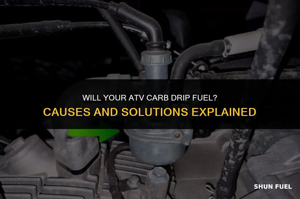 will atv carb drip fuel