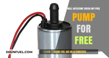 Does AutoZone Offer Free Fuel Pump Diagnostics? Find Out Here