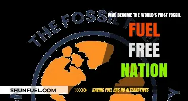 Pioneering Sustainability: The Journey to a Fossil Fuel-Free Nation