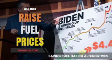 Examining the Impact of Biden's Policies on Fuel Prices