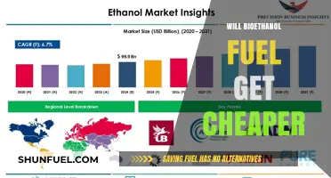 Exploring the Future Cost Trends of Bioethanol Fuel