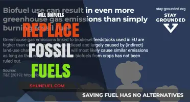 Biofuels vs. Fossil Fuels: Can Renewable Energy Replace Traditional Sources?