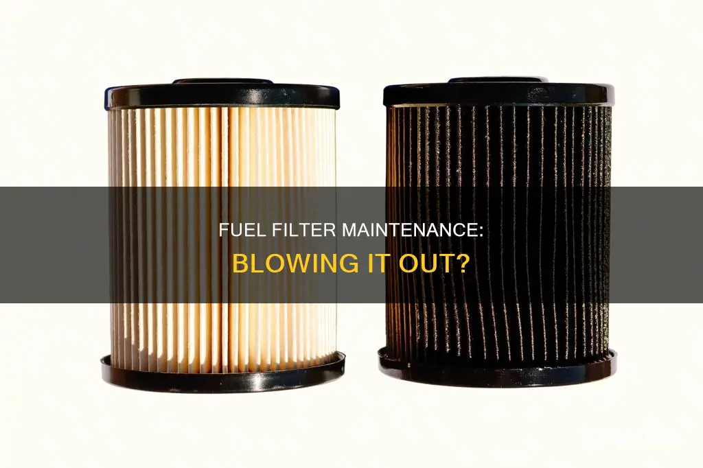will blowing a fuel filter out work