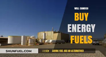 Cameco's Potential Acquisition of Energy Fuels: A Strategic Move?