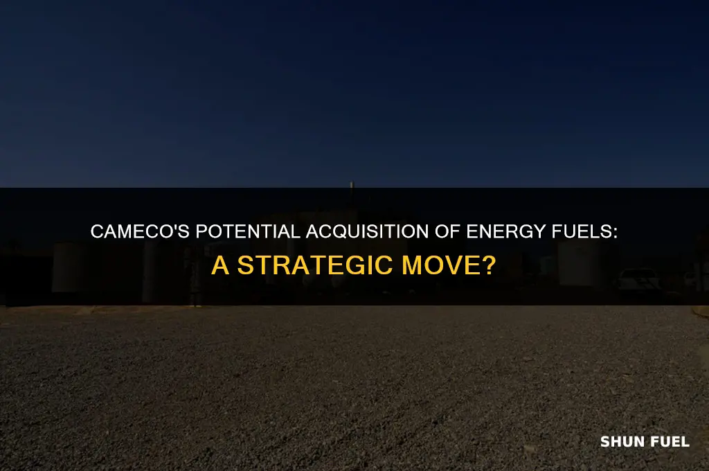 will cameco buy energy fuels