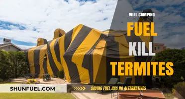 Can Camping Fuel Be a Termite Killer? Exploring the Myths and Facts