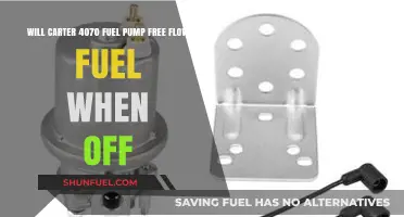 Does the Carter 4070 Fuel Pump Free Flow Fuel When Off?