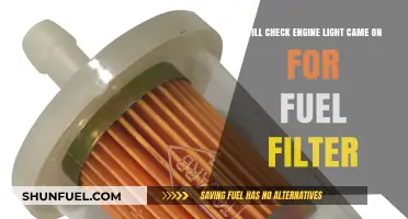 Fuel Filter: Check Engine Light Warning