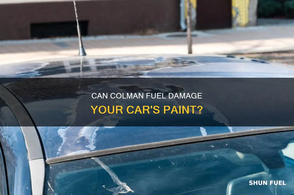 will colman fuel harm car paint