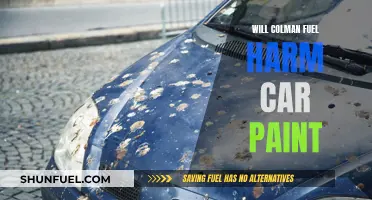 Colman Fuel and Car Paint: A Safe Mix?