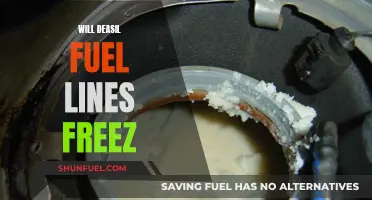 Deasil Fuel Lines: Will They Freeze Solid?