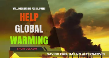 Reducing Fossil Fuels: A Key Solution to Combat Global Warming?