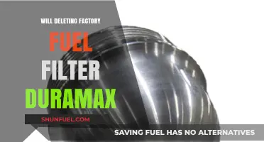 Deleting Factory Fuel Filter: Is It Worth the Risk?