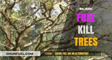 The Impact of Diesel Fuel on Tree Health: A Comprehensive Guide