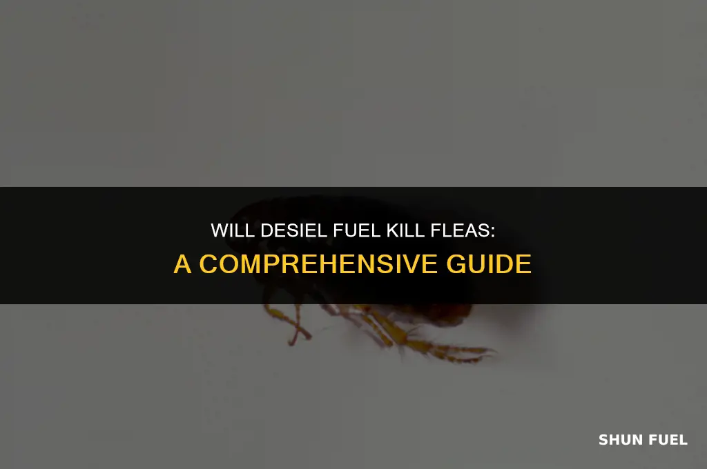 will desil fuel kill fleas