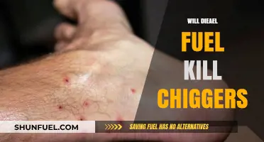 Will Diesel Fuel Kill Chiggers? A Comprehensive Guide