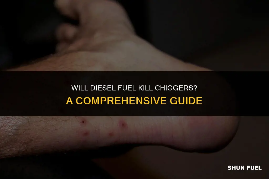 will dieael fuel kill chiggers