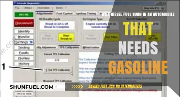 Can Diesel Fuel Work in a Gasoline Car?