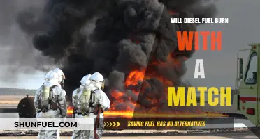 Does Diesel Fuel Ignite with a Match?