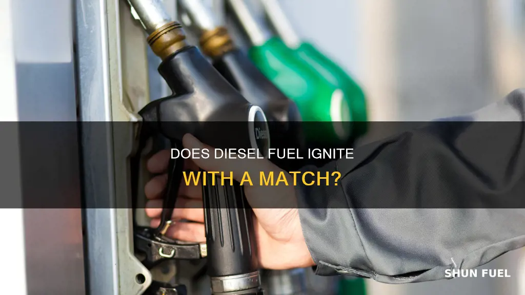 will diesel fuel burn with a match