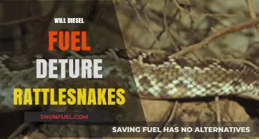 Does Diesel Fuel Repel Rattlesnakes?