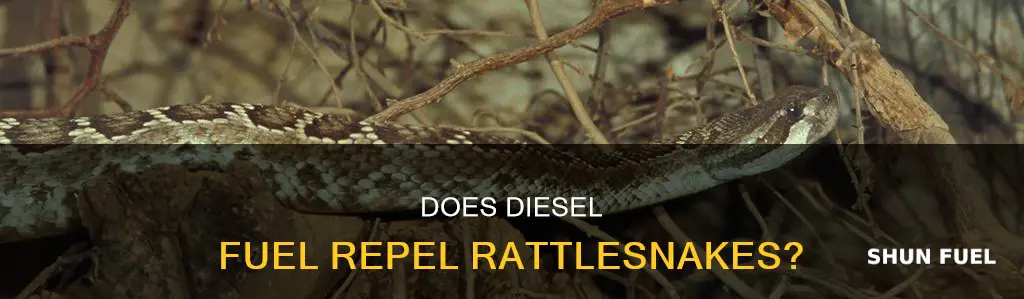 will diesel fuel deture rattlesnakes