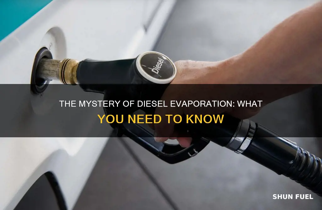 will diesel fuel evapofate