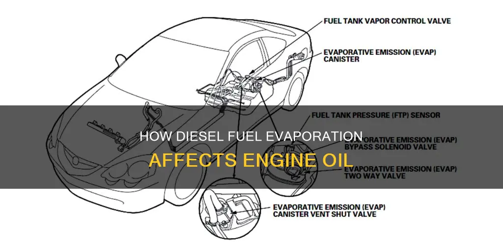 will diesel fuel evaporate from engine oil