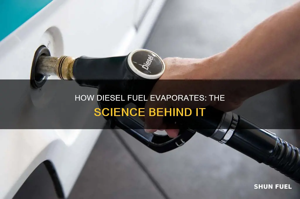 will diesel fuel evaporate