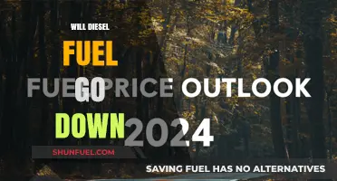 Diesel Fuel Price Drop: What's Next?