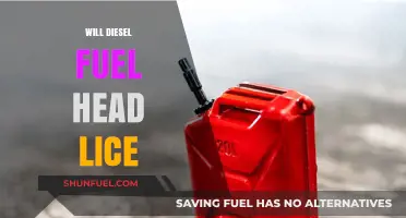 Killing Lice with Diesel Fuel: A Dangerous Remedy