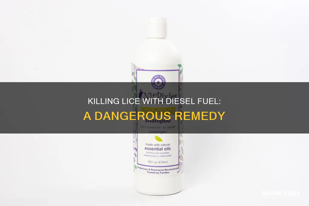 will diesel fuel head lice
