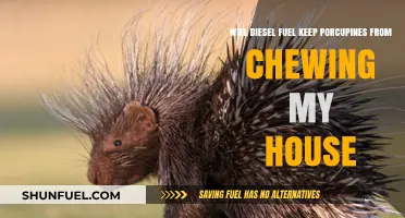 Deterring Porcupines: Diesel Fuel as a Solution?