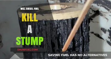 How to Kill a Tree Stump With Diesel Fuel