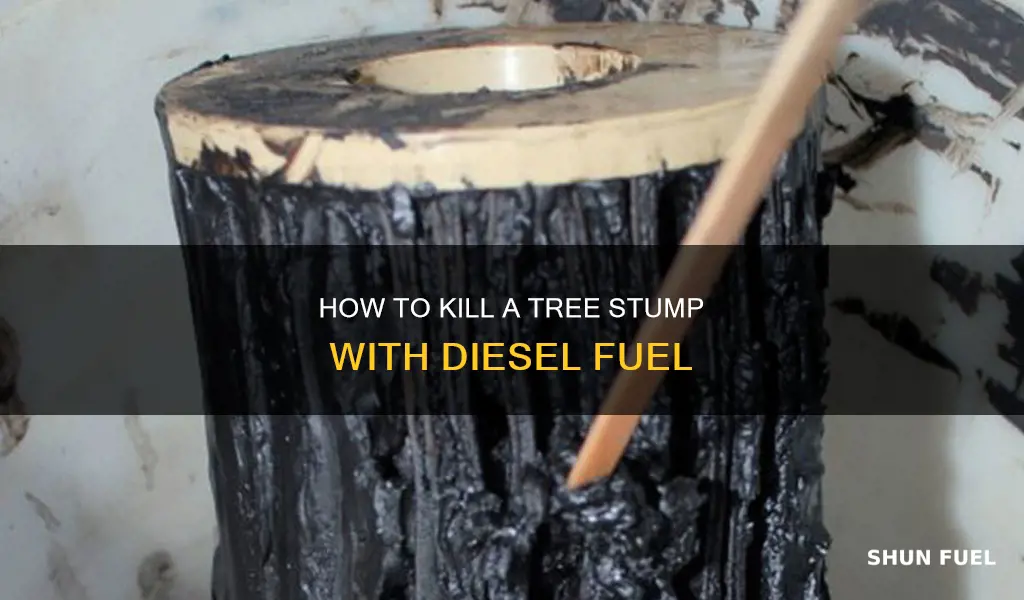 will diesel fuel kill a stump