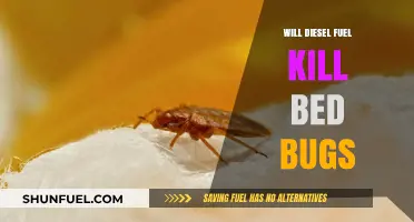 Eradicate Bed Bugs with Diesel Fuel?