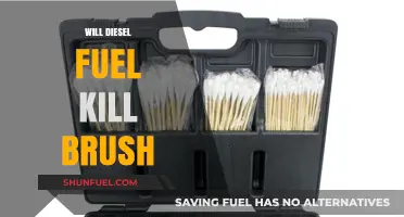 How Diesel Fuel Can Kill Brush
